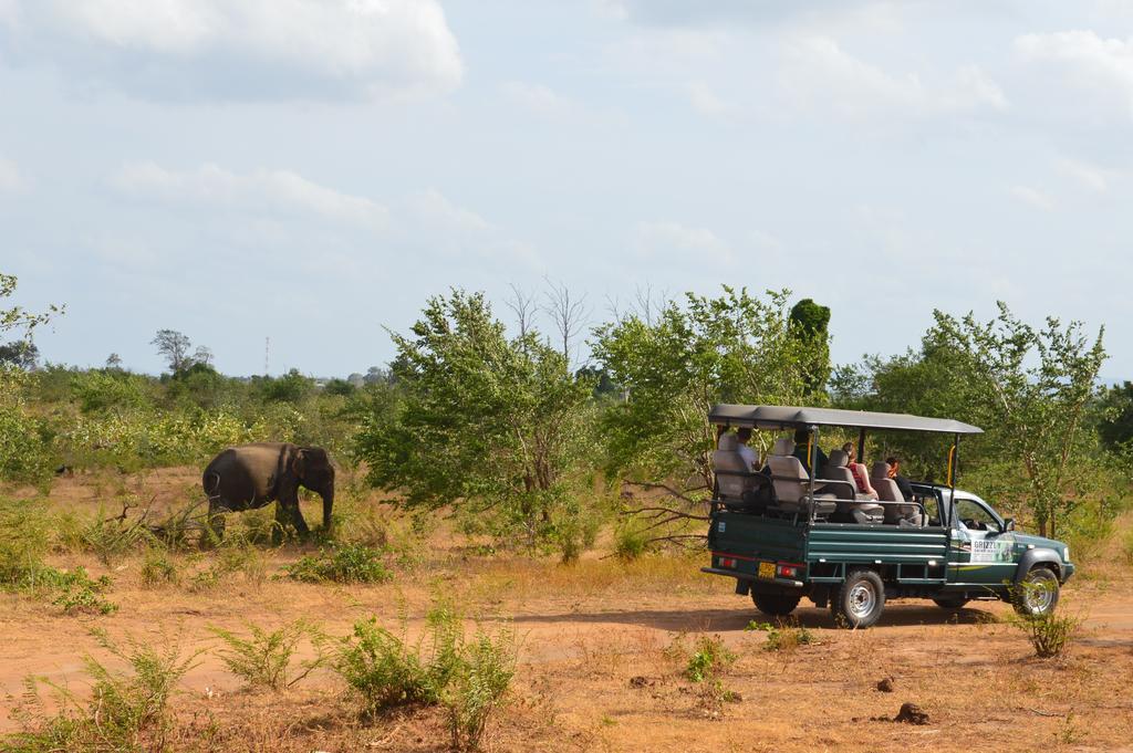 Wild Panthera Yala Tissamaharama Bagian luar foto