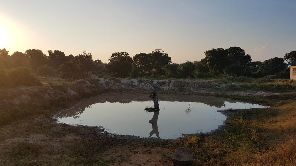 Wild Panthera Yala Tissamaharama Bagian luar foto
